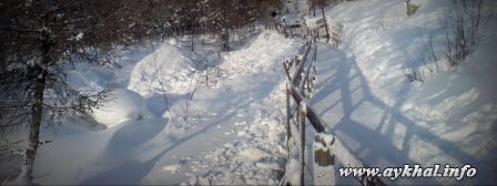 Деревянная дорожка