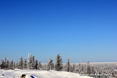 IMG_2488
