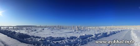 Зимний лес