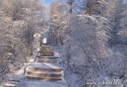 красота