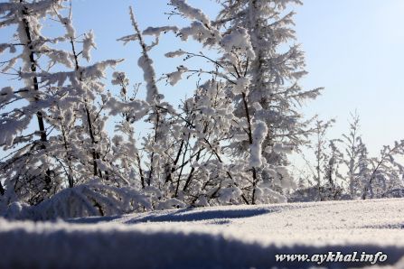 IMG_2466