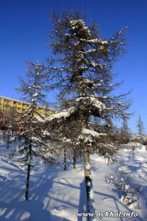 IMG_2151