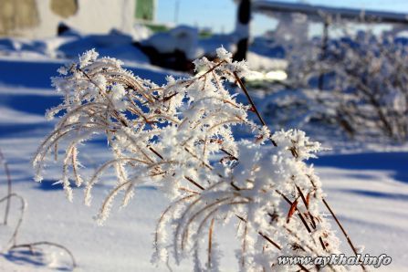IMG_2562