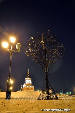 Дерево Любви, вечером