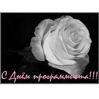 Россия отметила День программиста