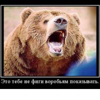 В Якутии охотник вступил в схватку с медведем и выжил
