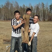В селе Еланка найдены останки мамонта