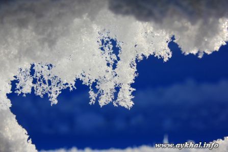 Снежок