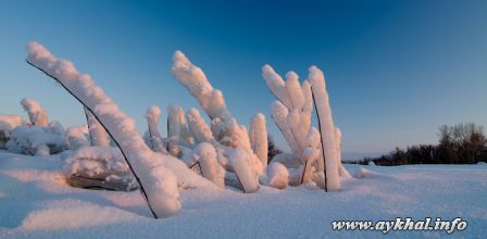 Чудо лед1583