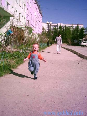 наши
