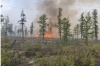 Пожар в тайге возле Айхала
